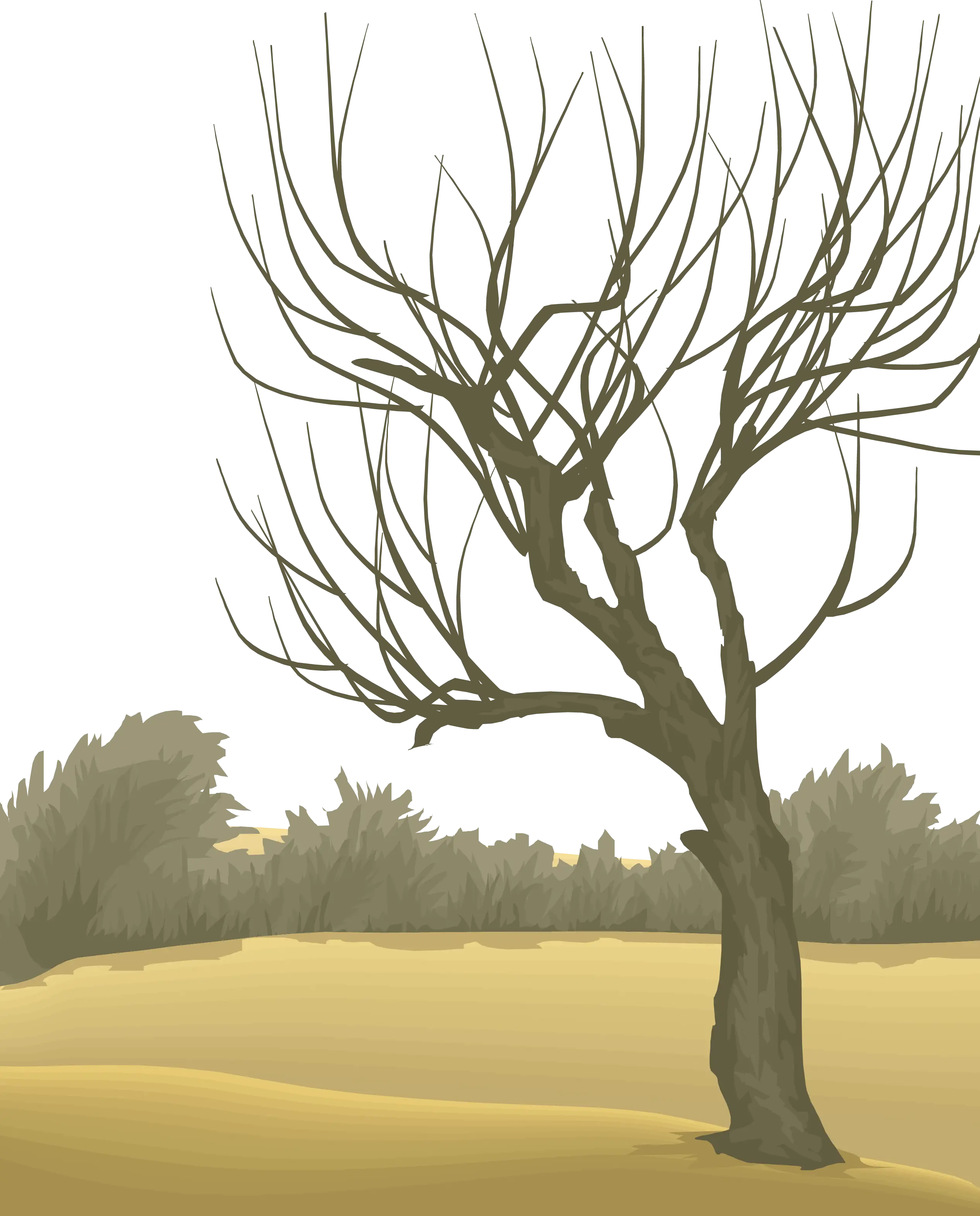 Bare Tree in Winter Landscape