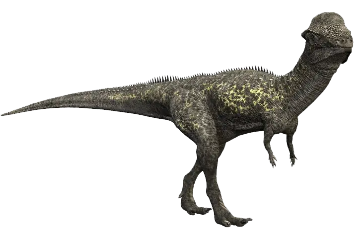 Pachycephalosaurus Dinosaur Illustration