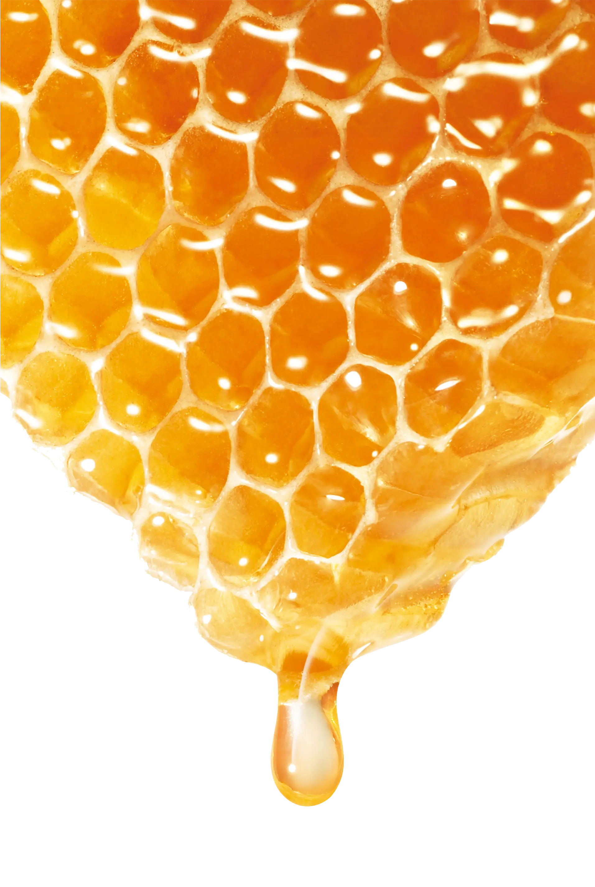 Golden Honeycomb with Dripping Honey