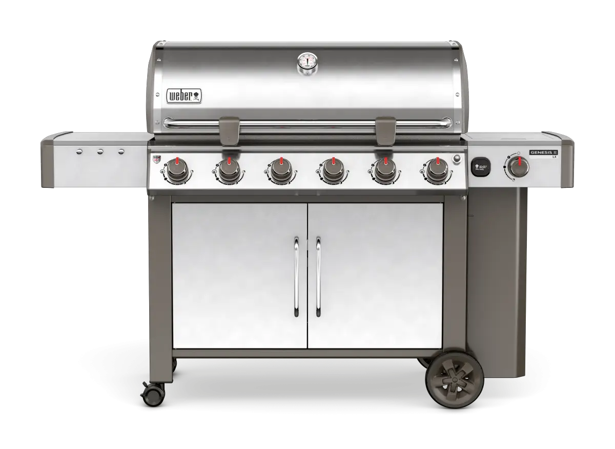 Modern Stainless Steel Barbecue Grill