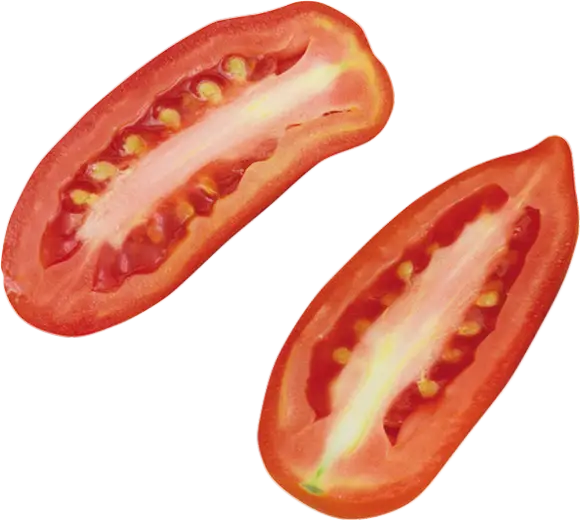 Fresh Cut Tomato Slices