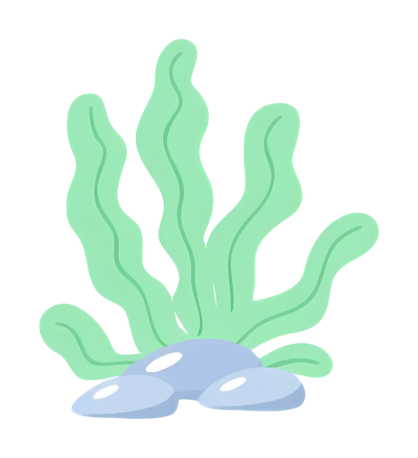 Illustration of Seaweed and Rocks
