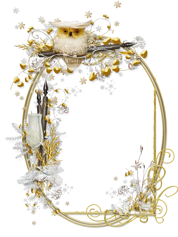 Golden Owl Decorative Frame Design