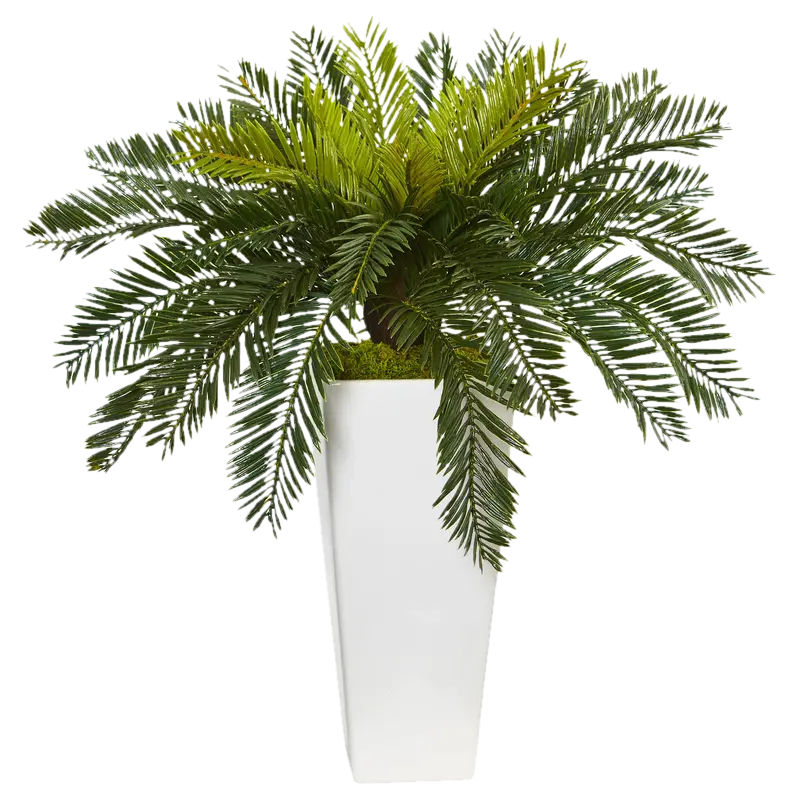 Decorative Green Plant in White Vase