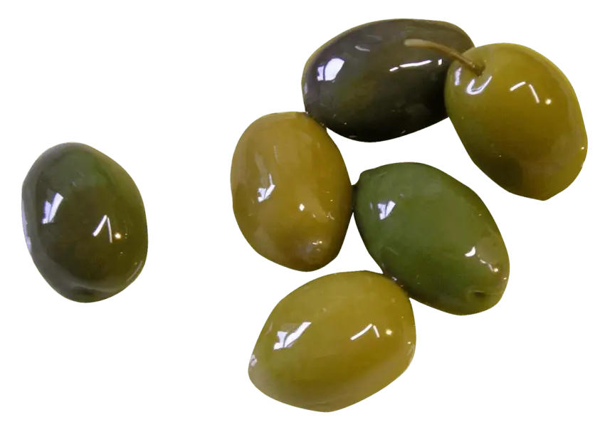 Fresh Green and Black Olives