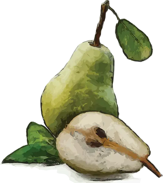 Green Pear with Leaf