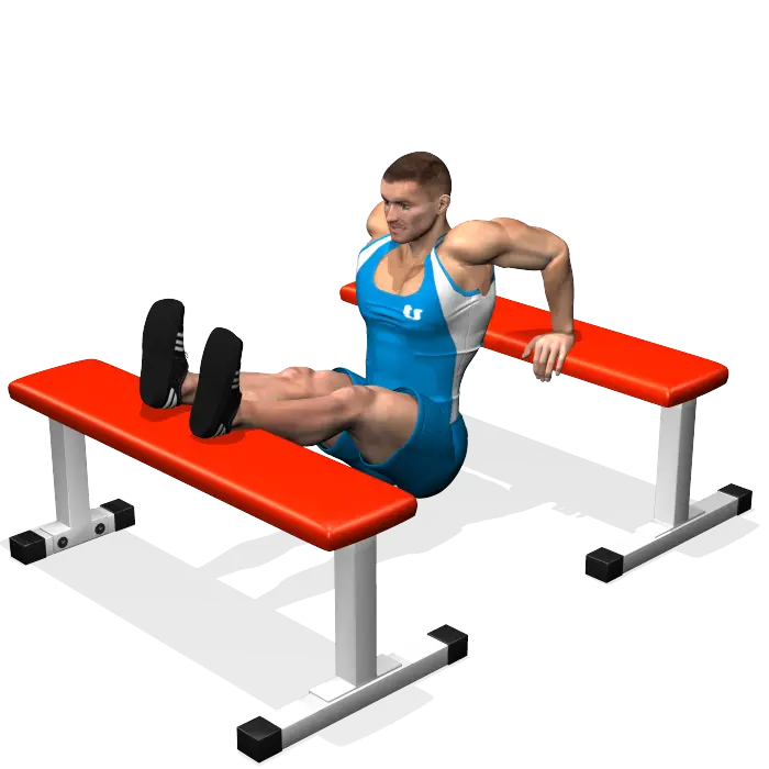 Man Doing Tricep Dips Exercise