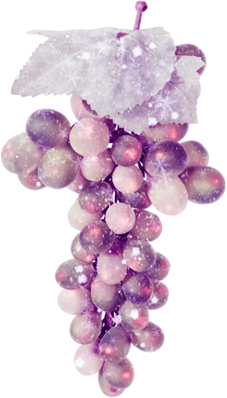 Sparkling Purple Grapes