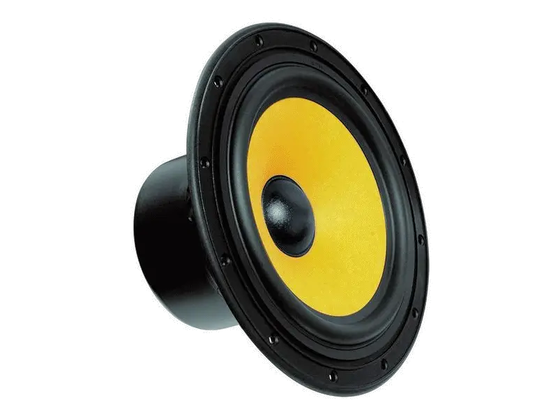 Yellow and Black Speaker Design