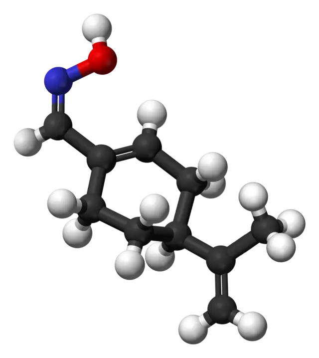 3D Molecular Model for Chemistry Education
