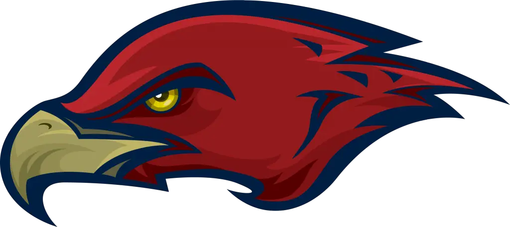 Red Hawk Head Illustrated Graphic