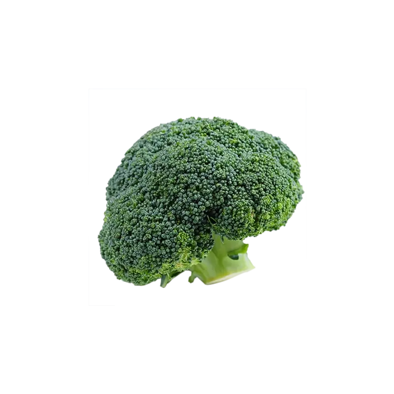 Fresh Green Broccoli
