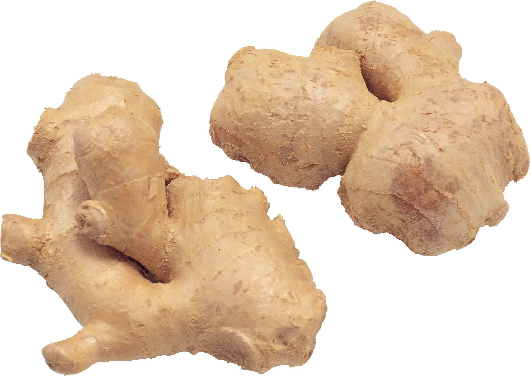 Fresh Ginger Roots for Cooking and Remedies