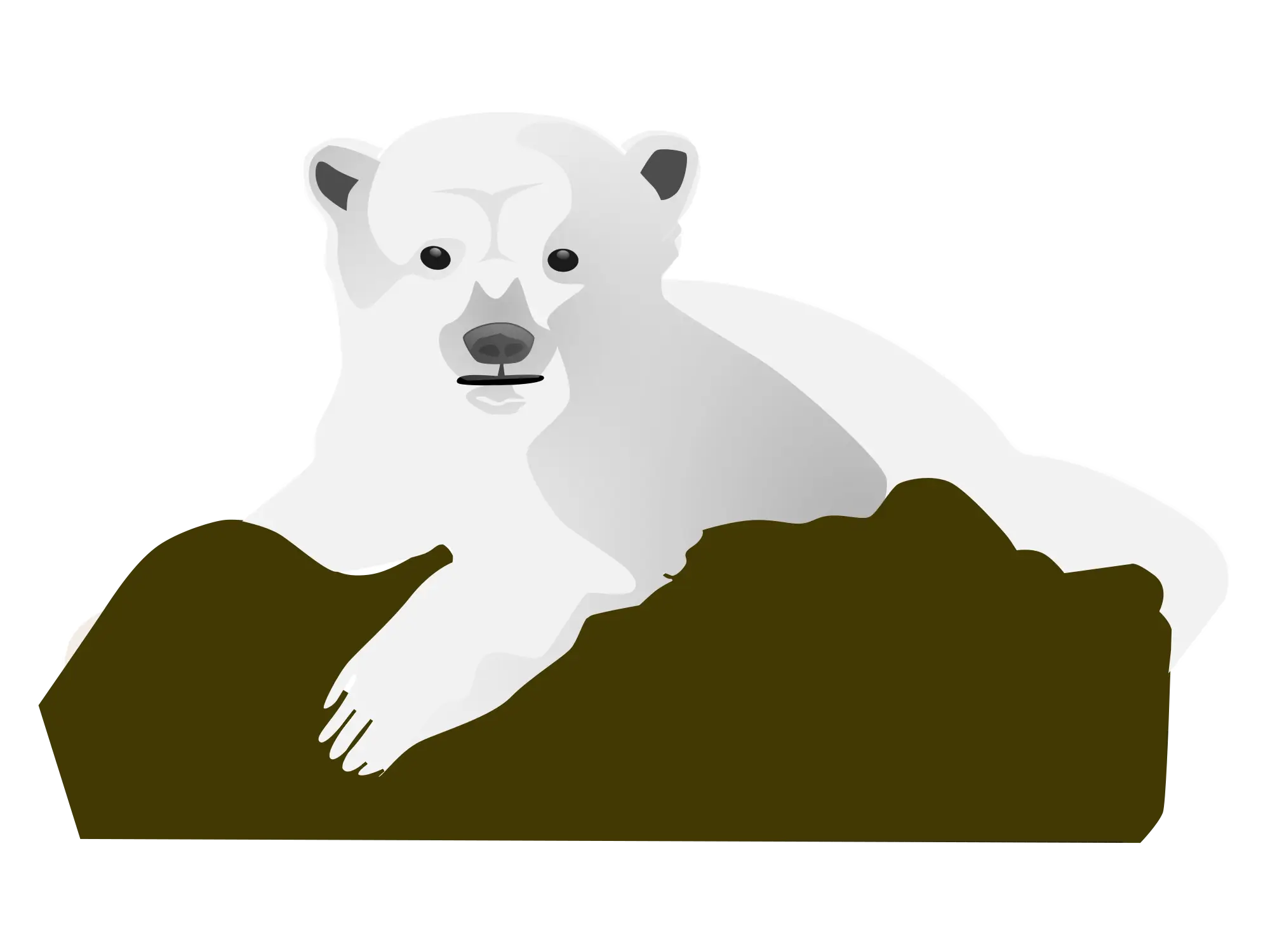 White Polar Bear Resting Illustration
