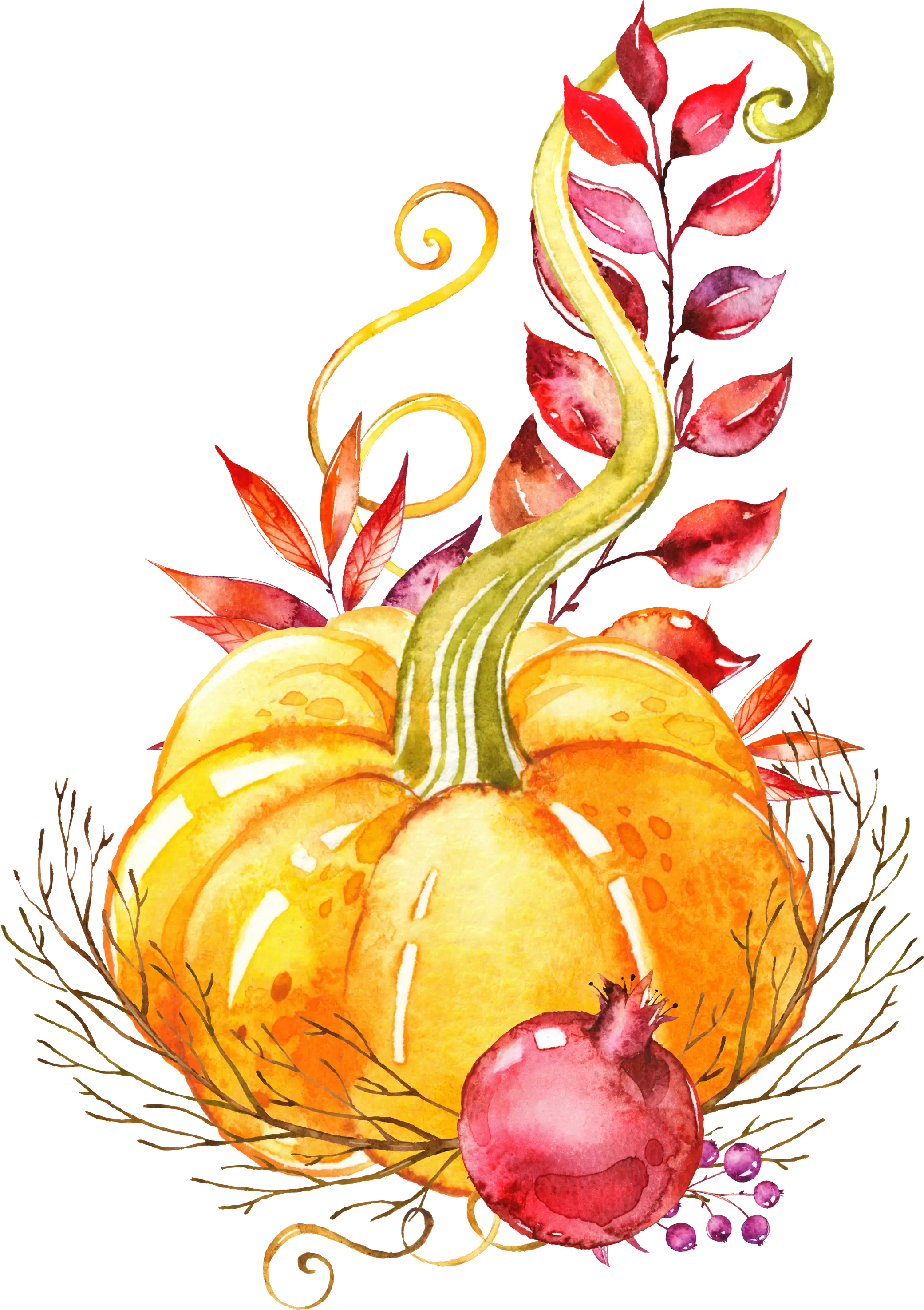 Autumn Illustration with Pumpkin and Pomegranate