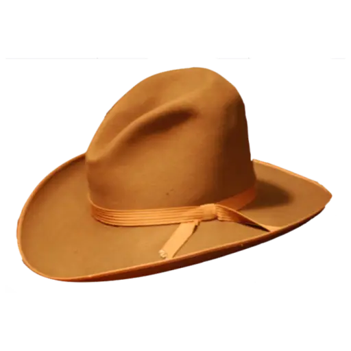 Brown Cowboy Hat with Ribbon Detail