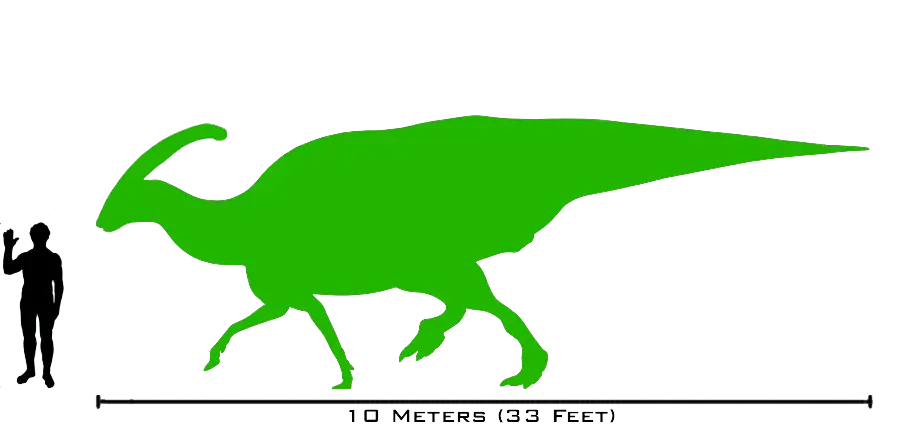 Large Dinosaur Silhouette Comparison