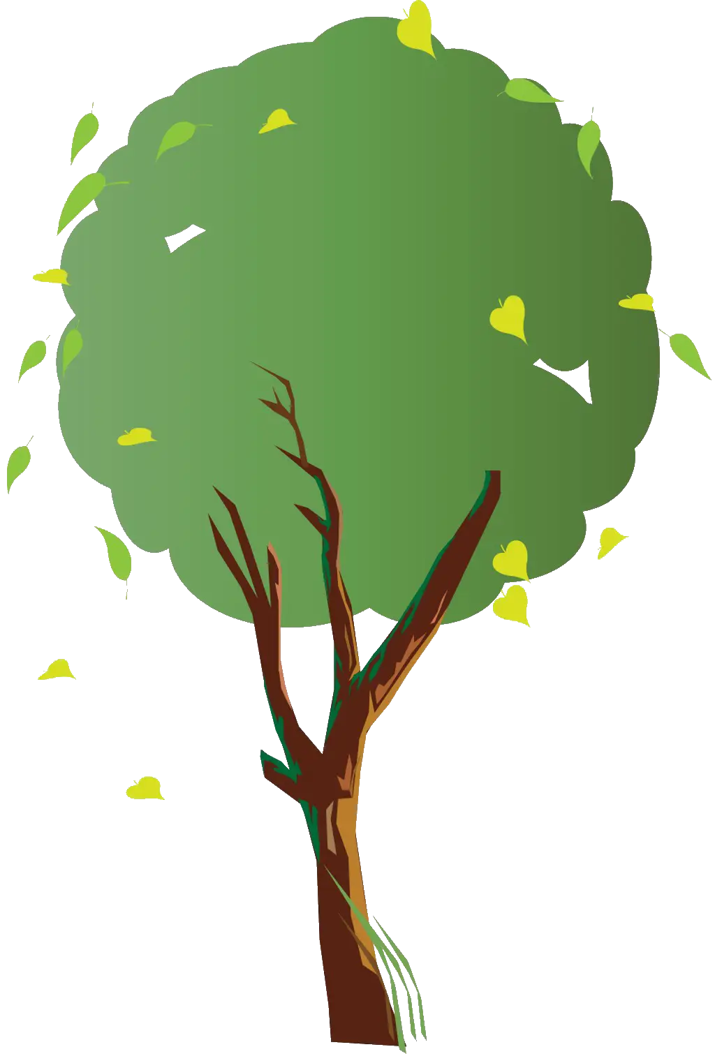 Green Tree with Leaves Illustration
