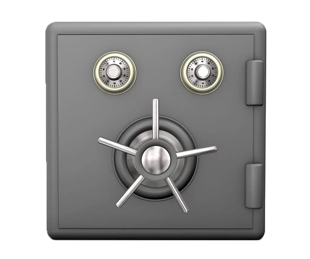 Secure Safe with Combination Locks