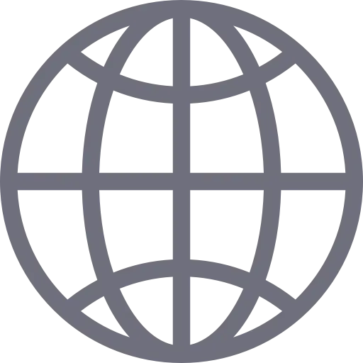 Minimalistic Gray Globe Icon