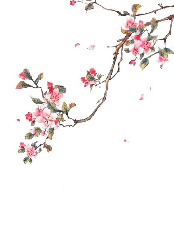 Flowering Branch with Pink Blossoms