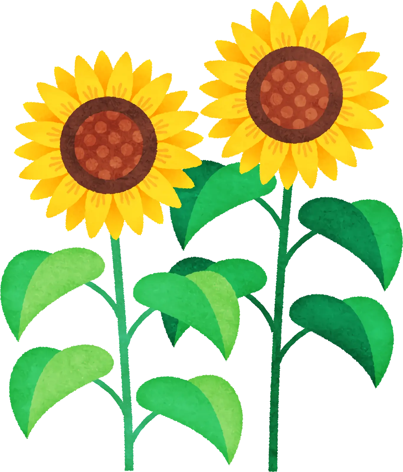 Golden Sunflowers with Leaves Artwork