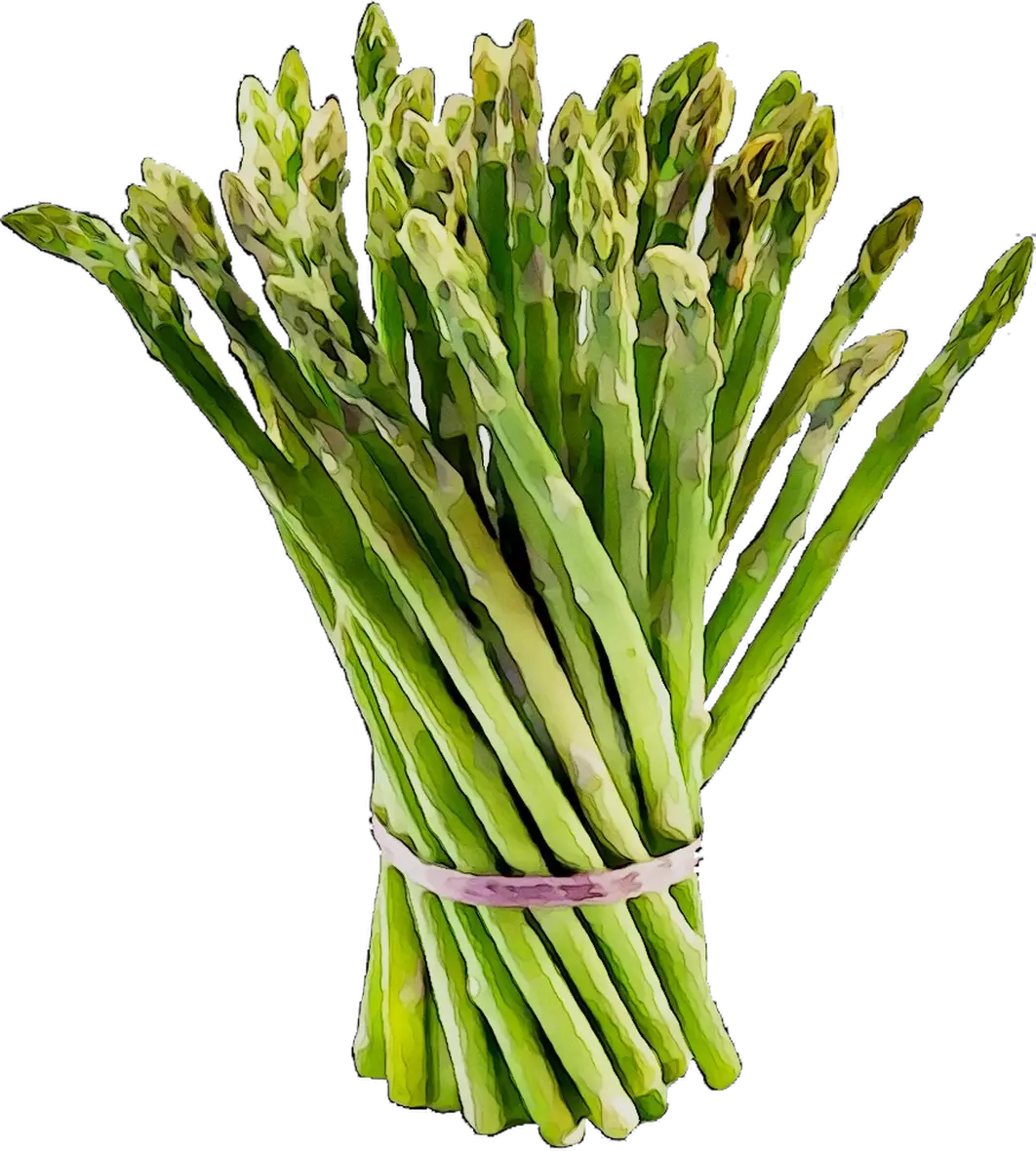 Fresh Bundle of Asparagus