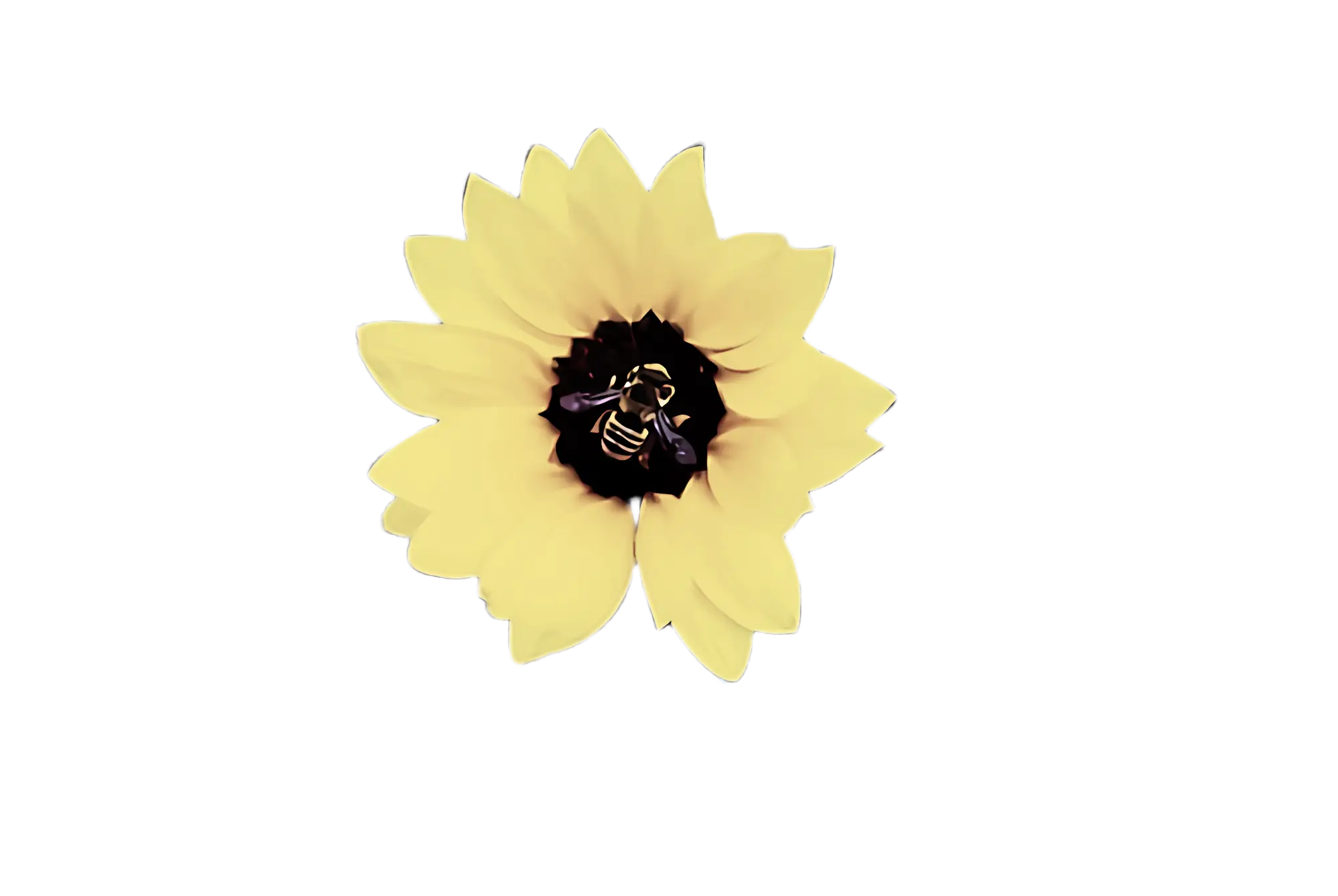 Yellow Flower with a Bee Pollinating