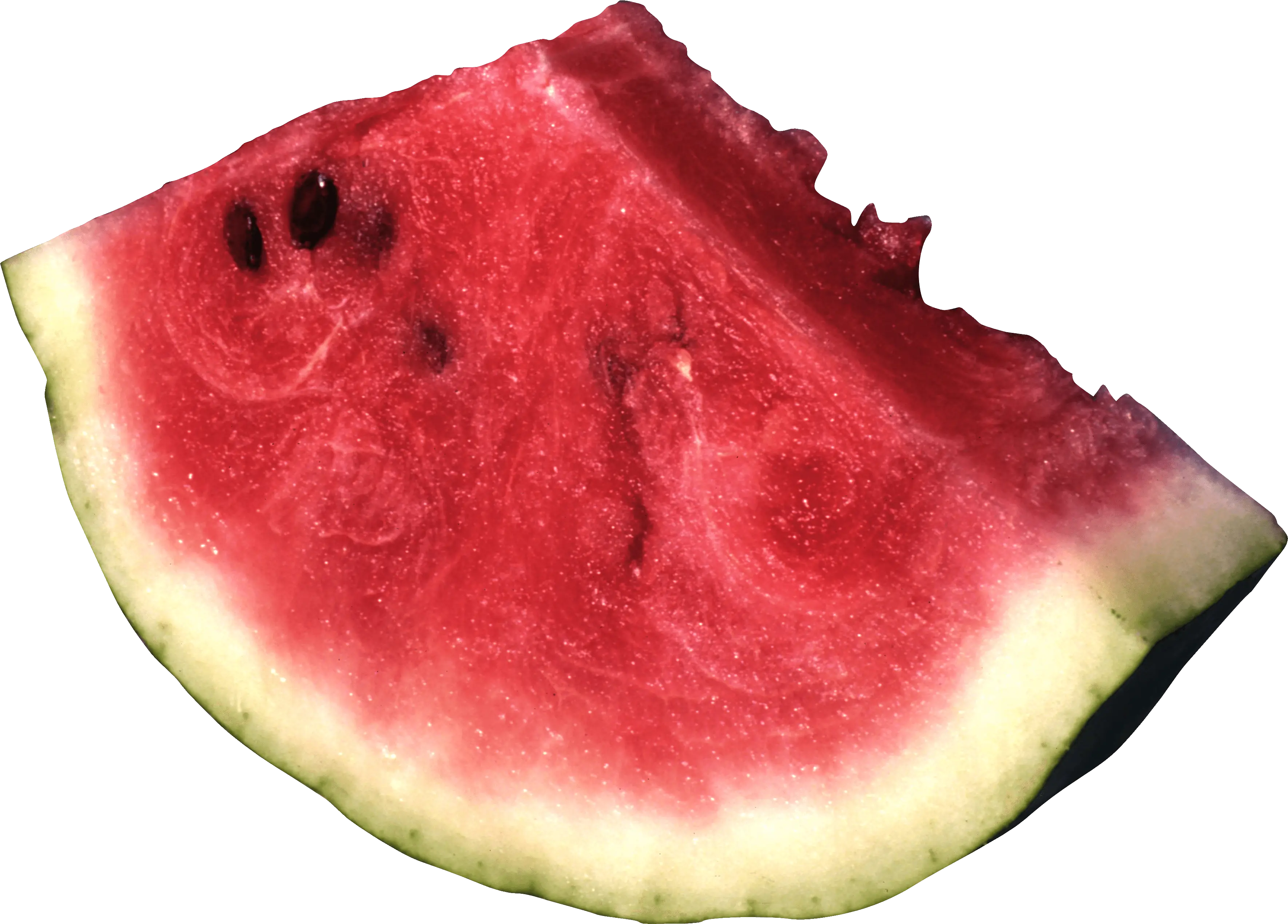 Refreshing Watermelon Slice Illustration