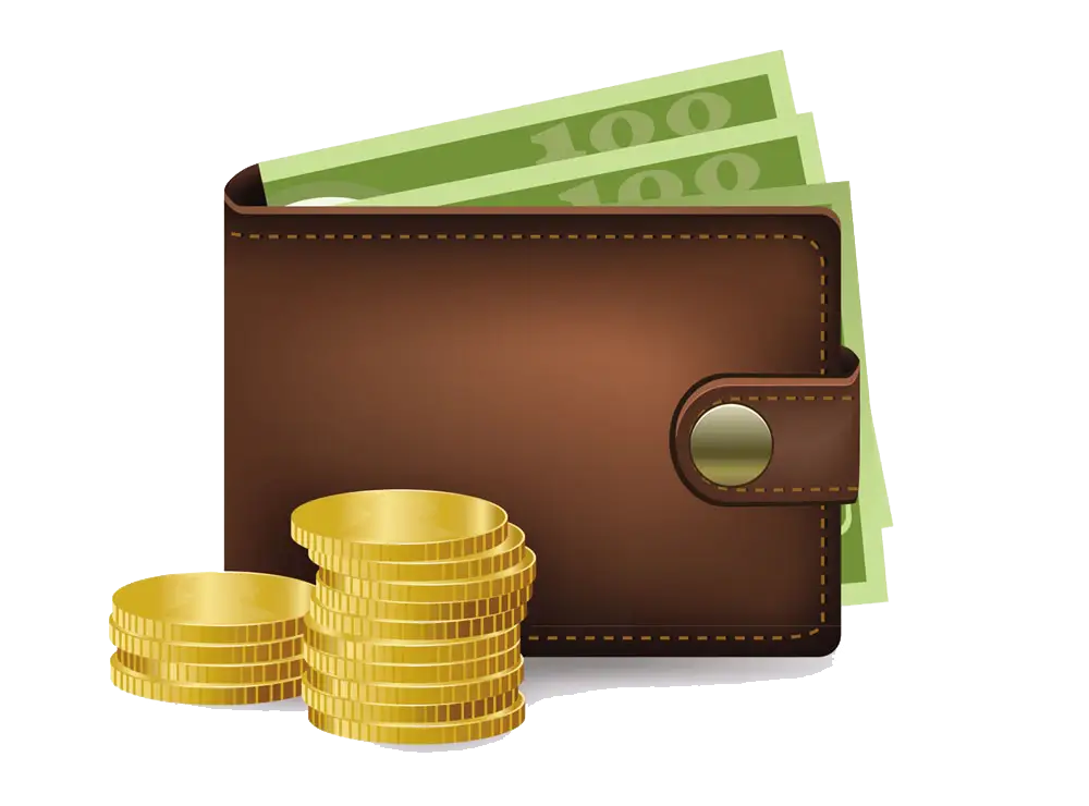 Wallet with Cash and Coins Illustration