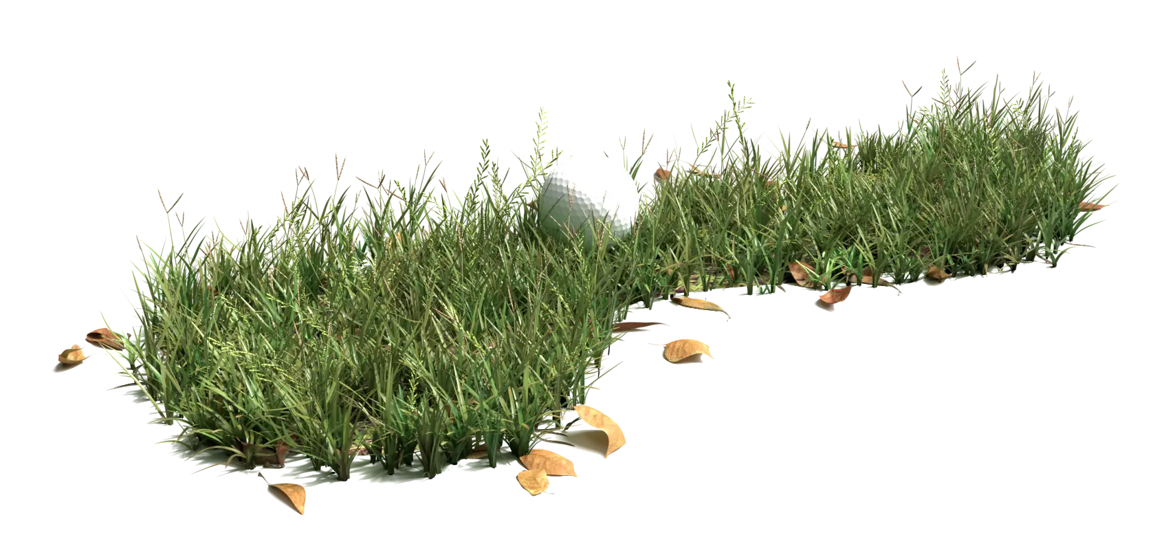 Patch of Green Grass with Fallen Leaves