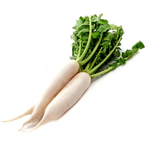 Fresh White Radish with Green Leaves