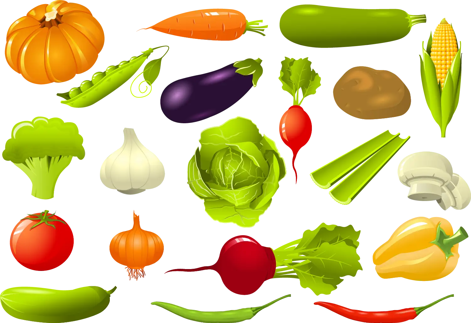 Colorful Fresh Vegetables Assortment