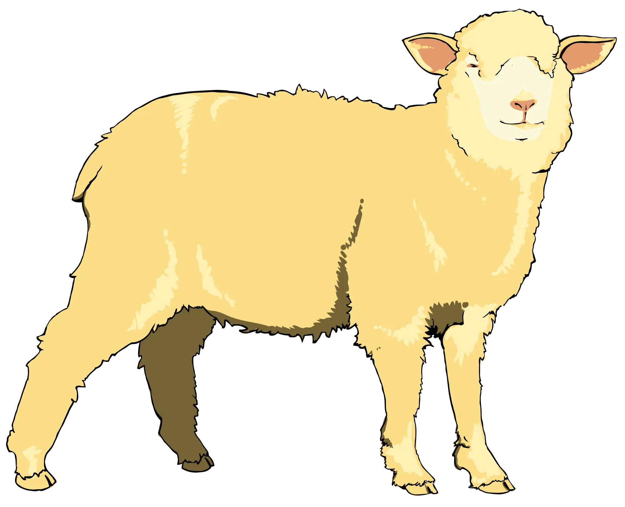 Stylized Yellow Sheep Illustration