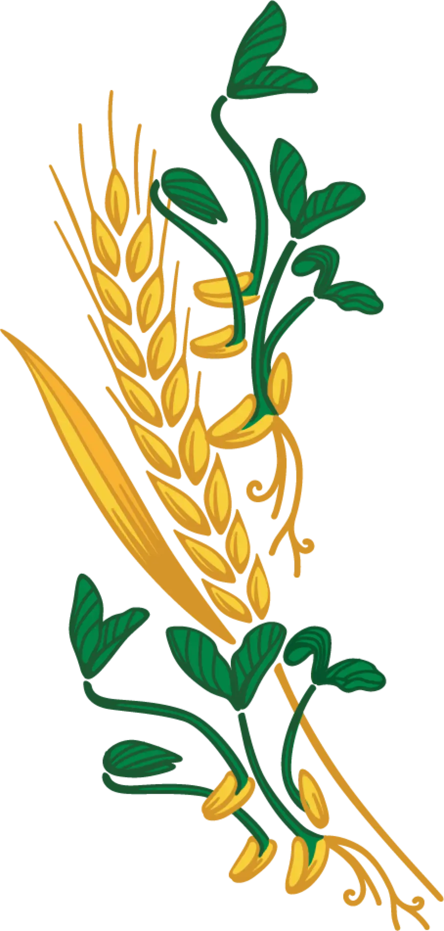 Wheat and Green Leaves