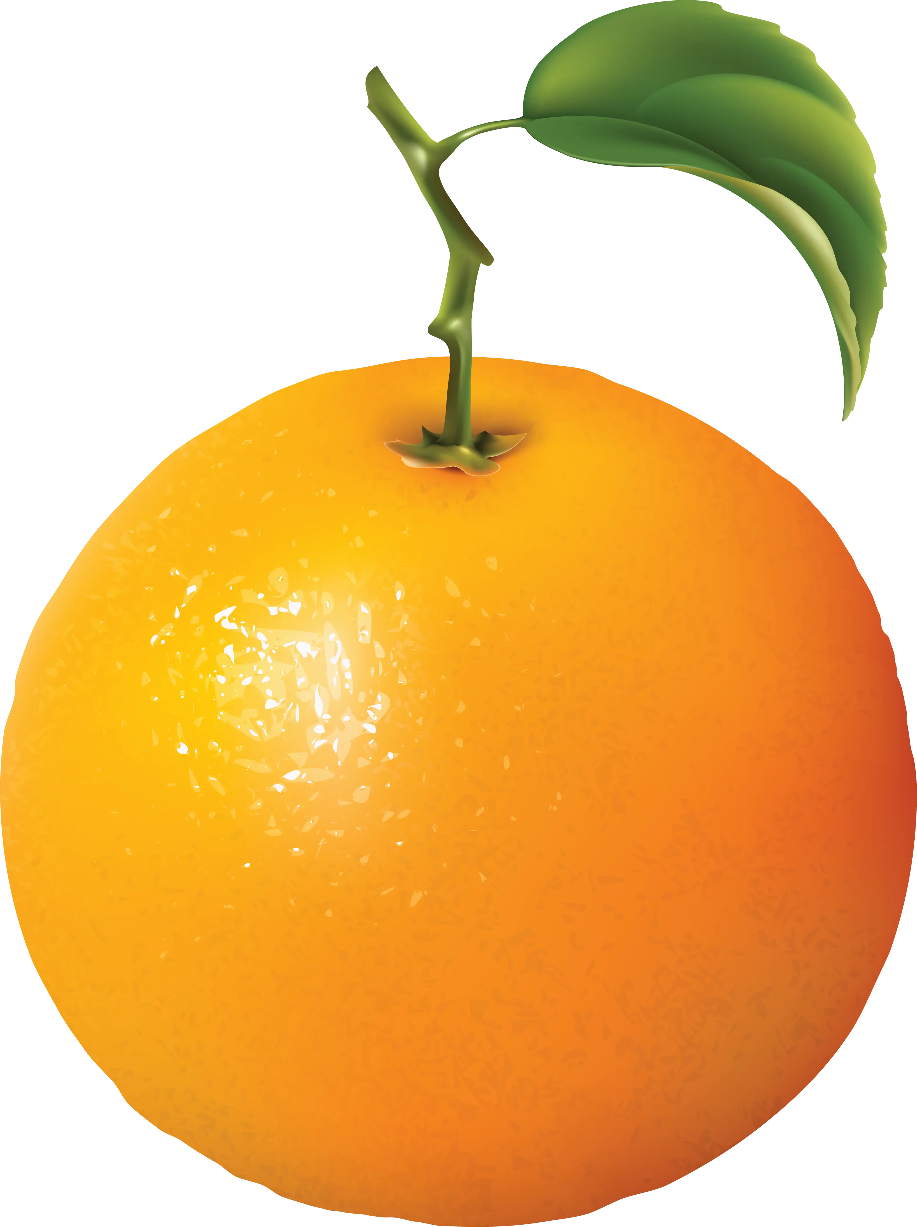 Orange Fruit with Green Leaf on Transparent Background