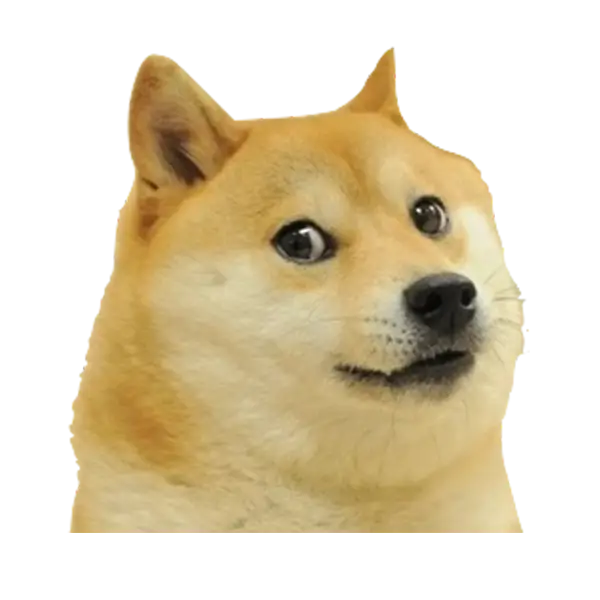 Shiba Inu Meme Face Expression
