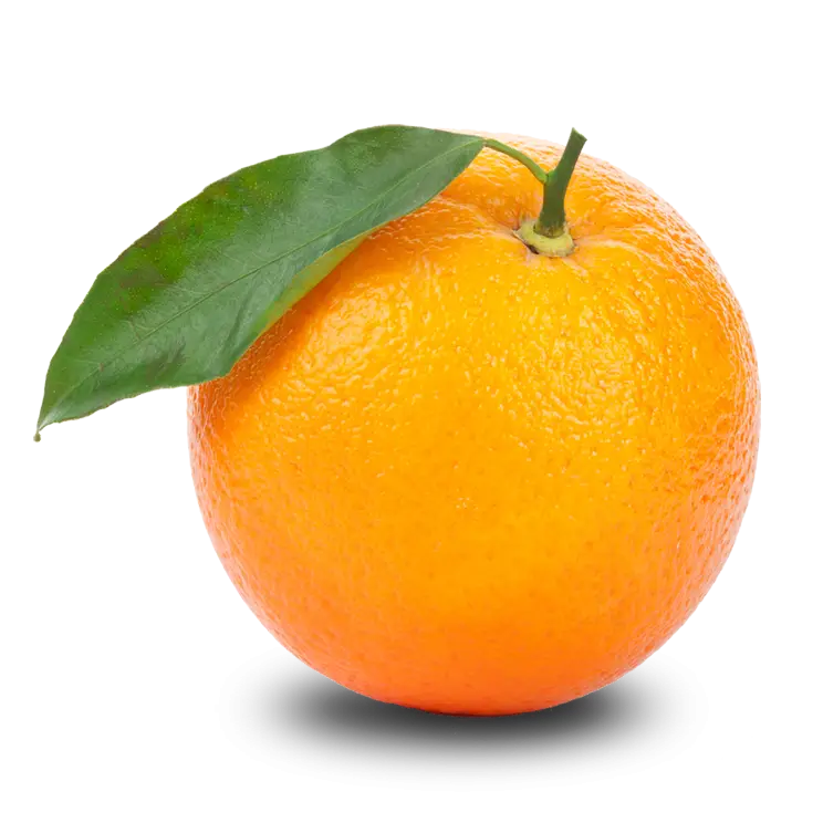 Fresh Orange Fruit with Leaf