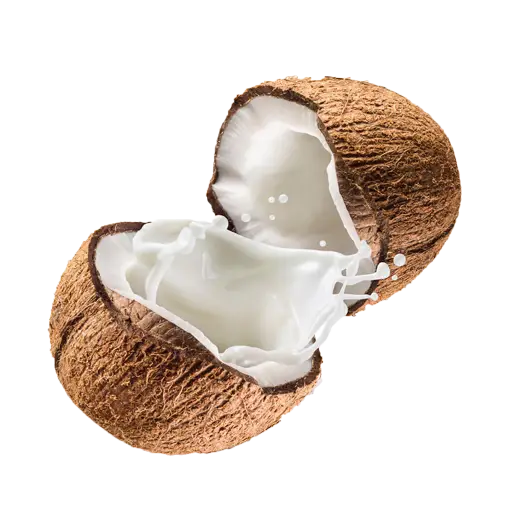 Cracked Coconut with Splashing Milk