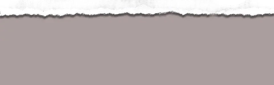 Gray Torn Paper with Rough Edge