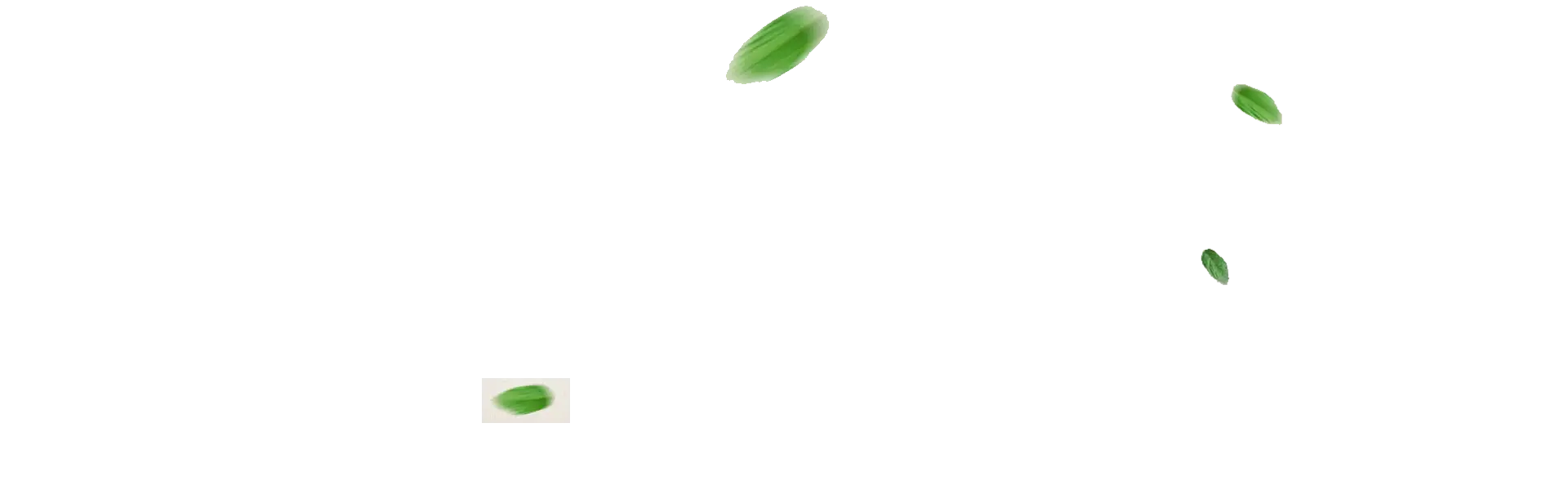 Minimal Green Leaves Falling Design