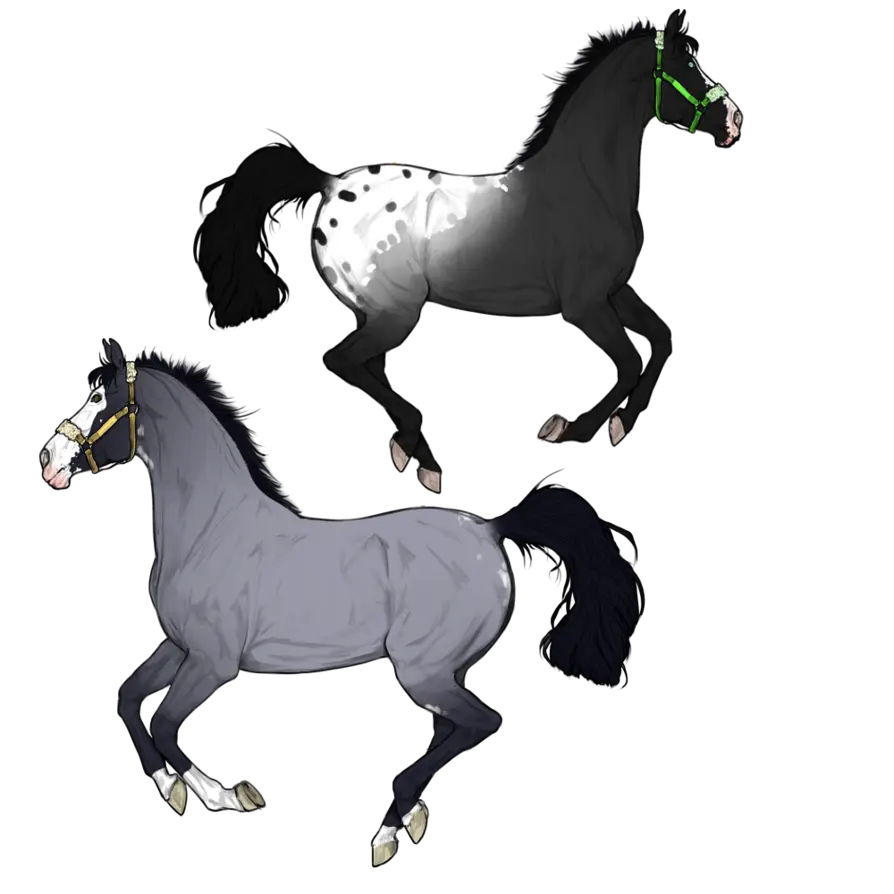 Illustration of Two Horses