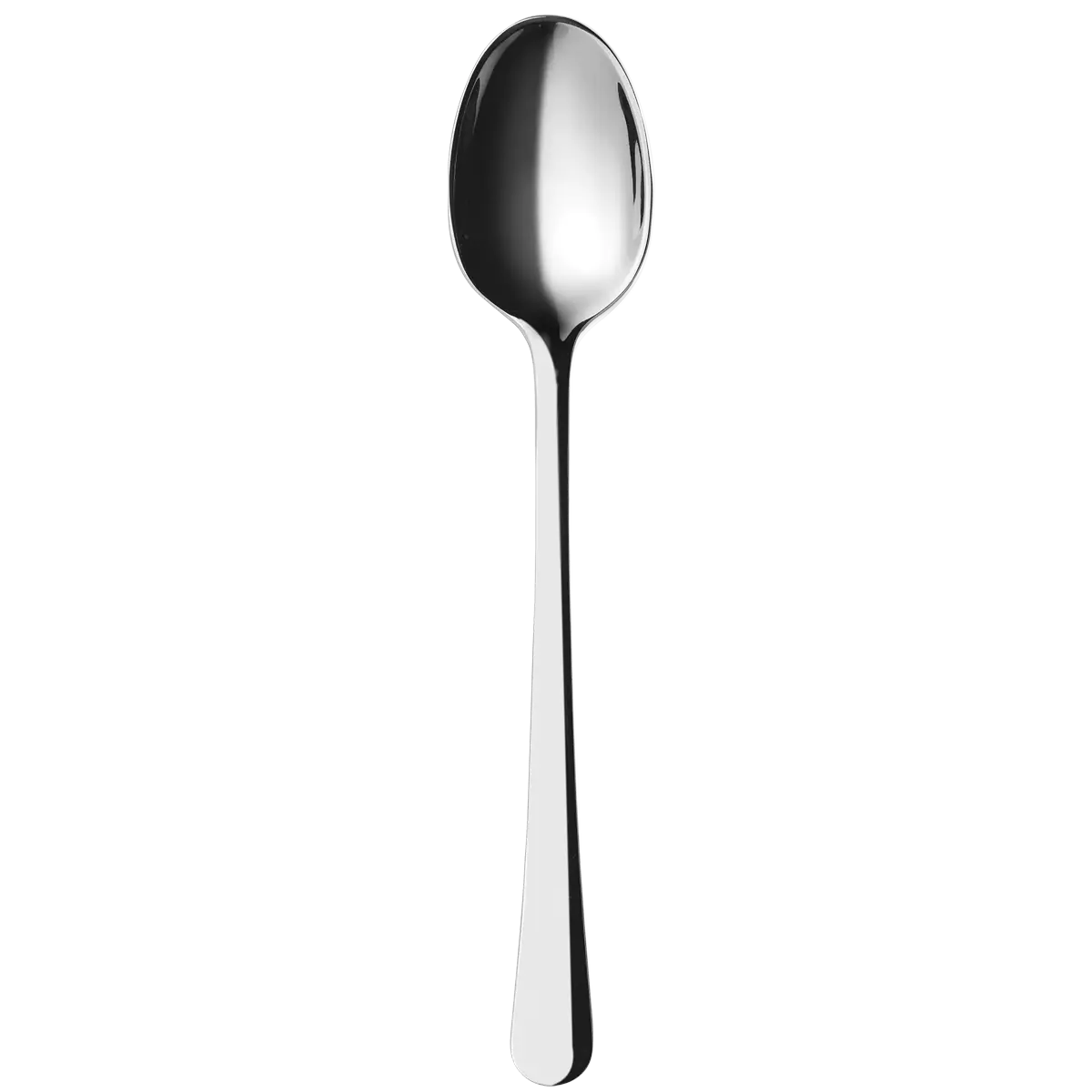 Stainless Steel Spoon in Modern Design
