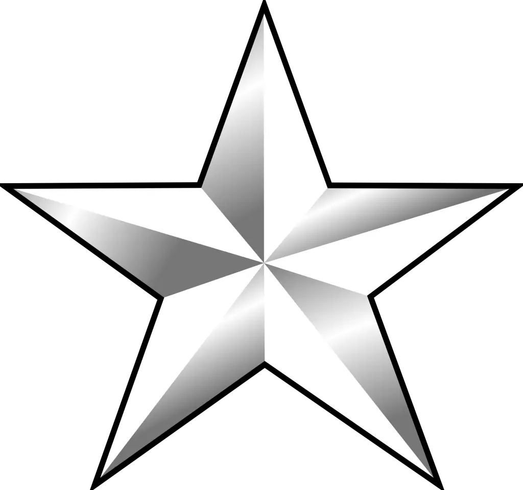Shiny Silver Star Symbol