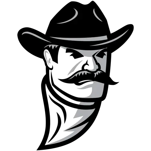 Cowboy Face Illustration with Hat