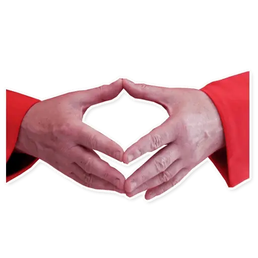 Hand Gesture in Red Sleeves