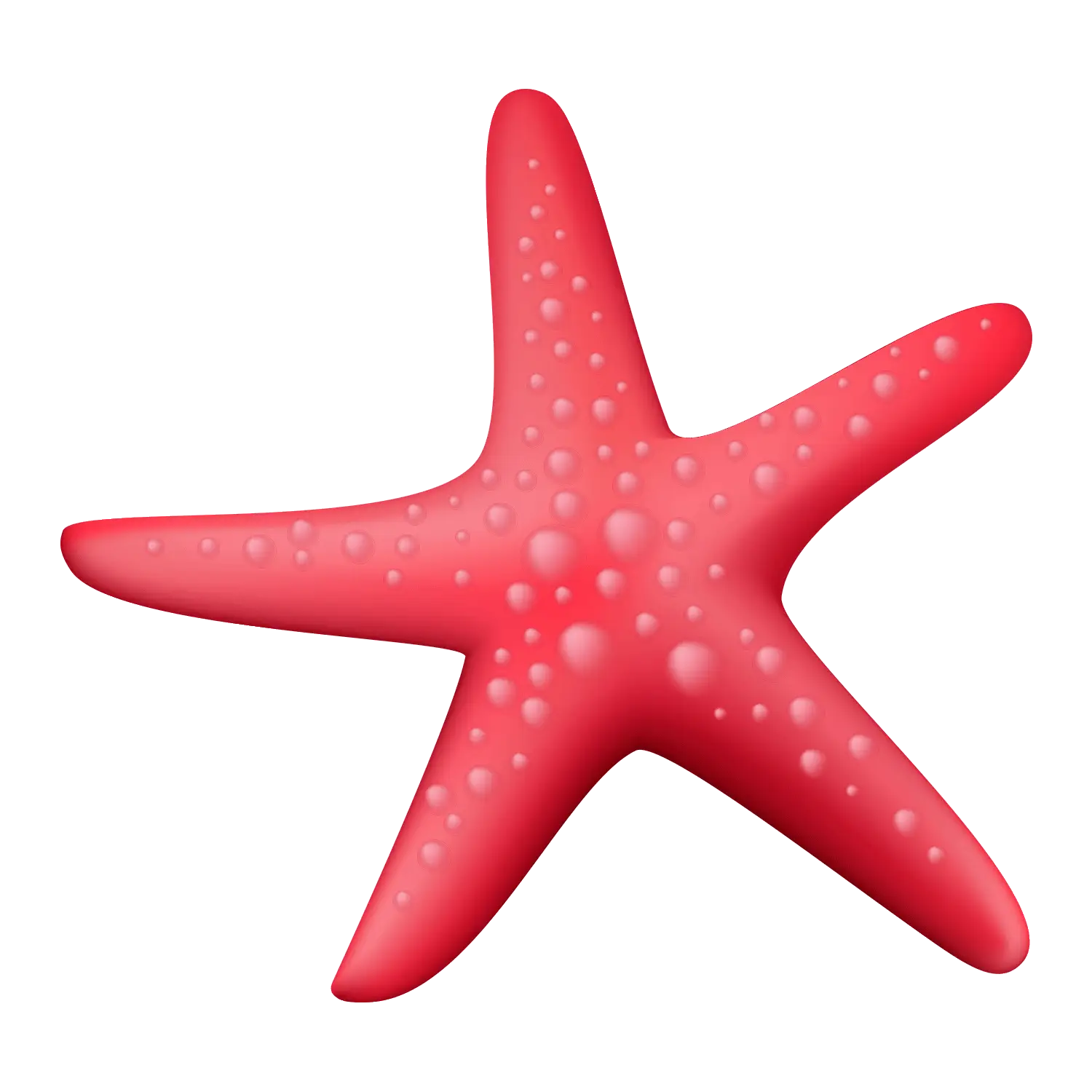 Red Starfish Illustration