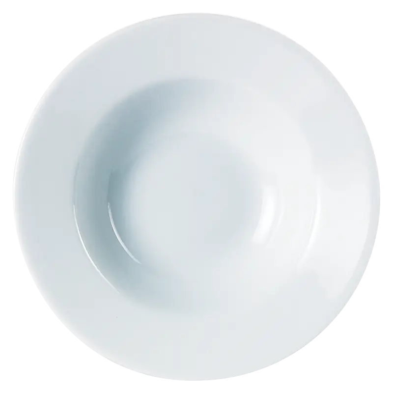 White Ceramic Plate with Minimalist Design