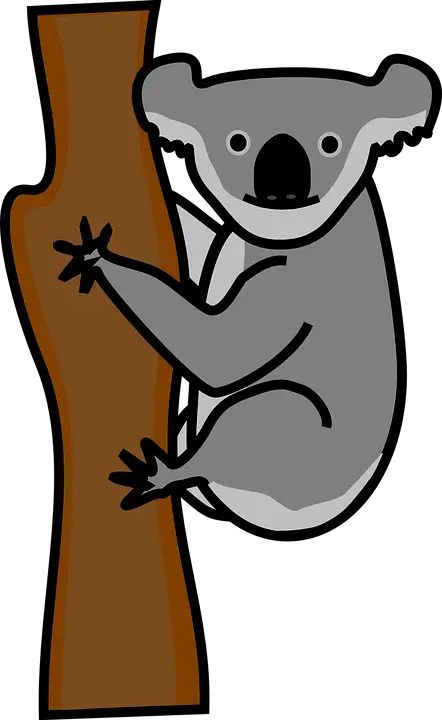 Adorable Koala Climbing a Tree
