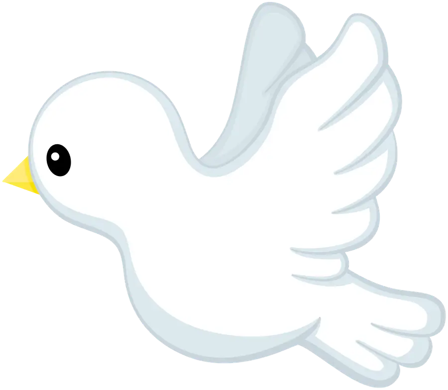 Cartoon White Dove Illustration